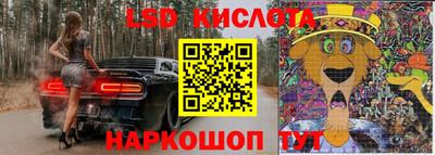 винт Краснодар