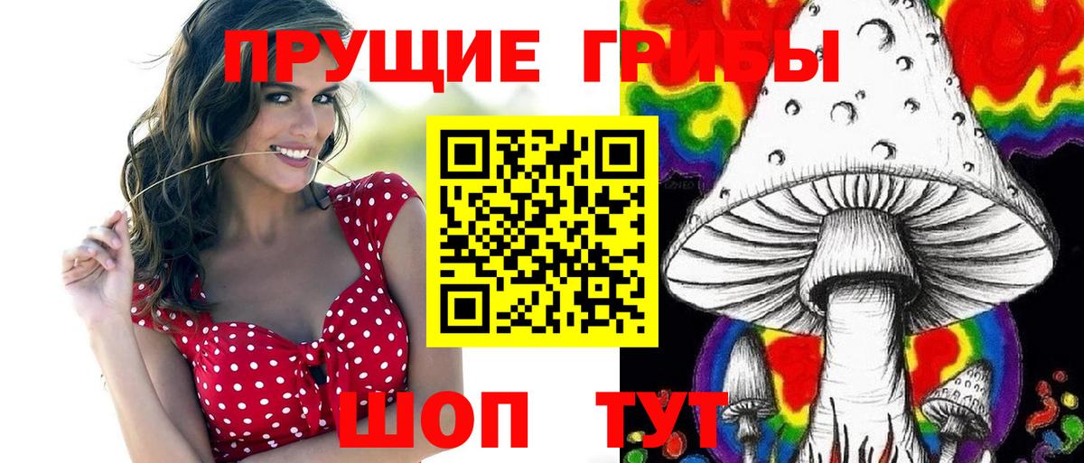 Галлюциногенные грибы Psilocybine cubensis  Вход с VPN  Каменск-Шахтинский 