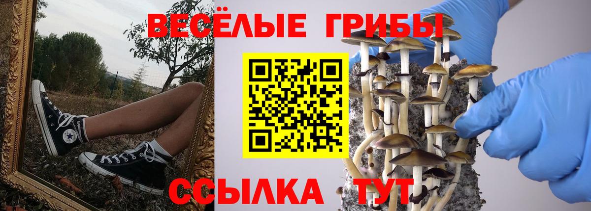 Псилоцибиновые грибы Cubensis Каменск-Шахтинский